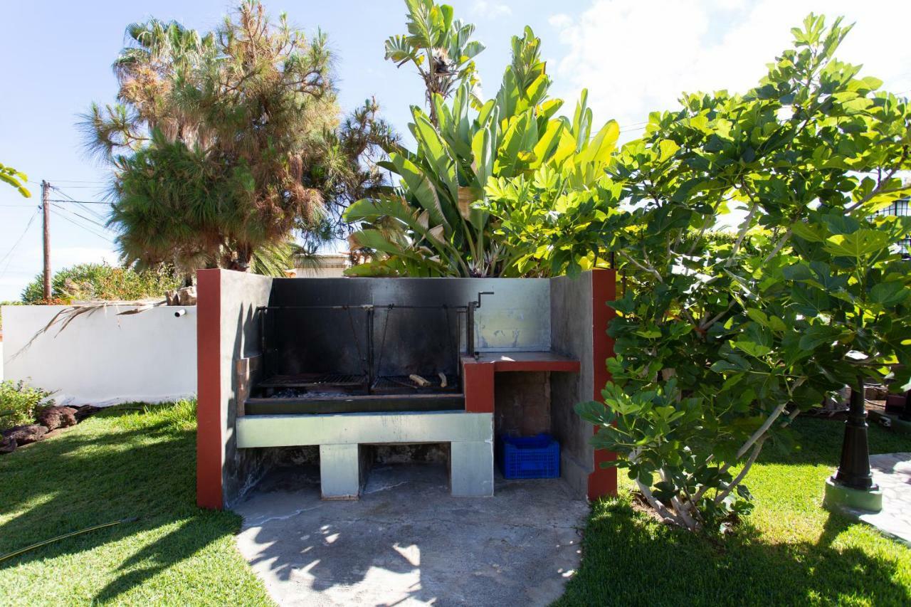 Finca La Gaviota - Las Palmeras Icod de los Vinos Kültér fotó
